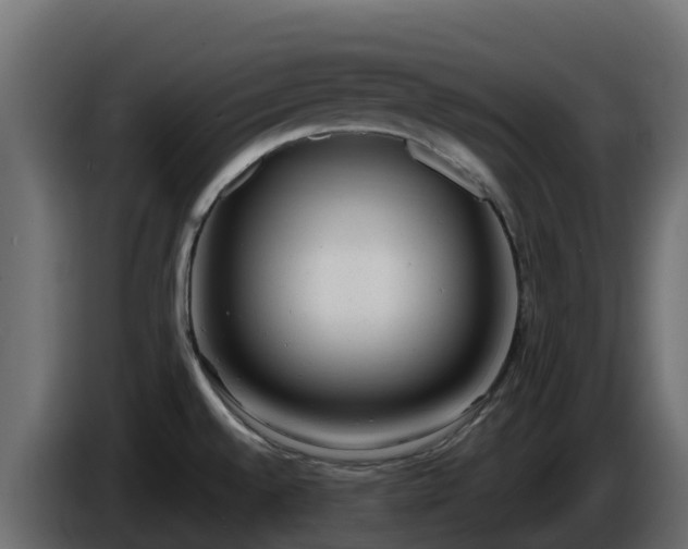 X0000085761528200703231143