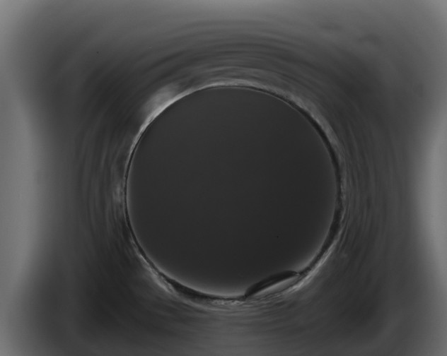 X0000085761529200703231143