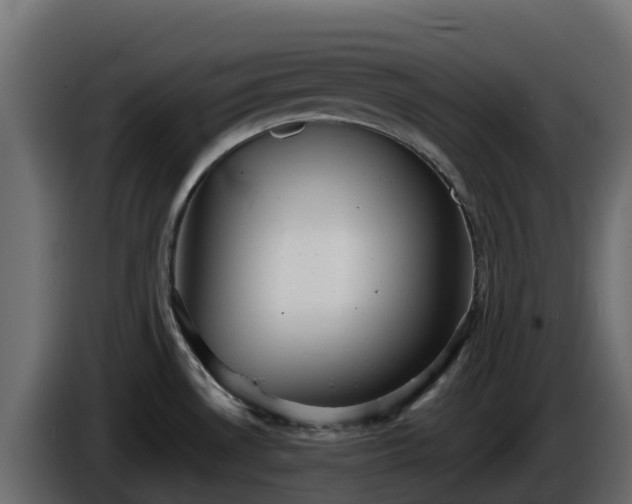 X0000085761530200703231143
