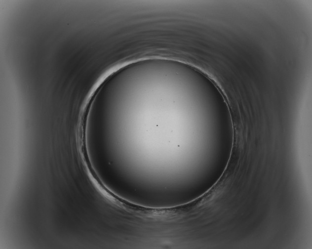X0000085761531200703231143