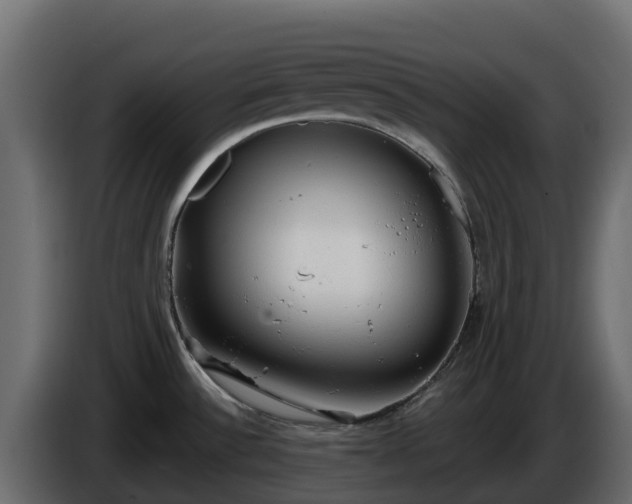 X0000085761532200703231143