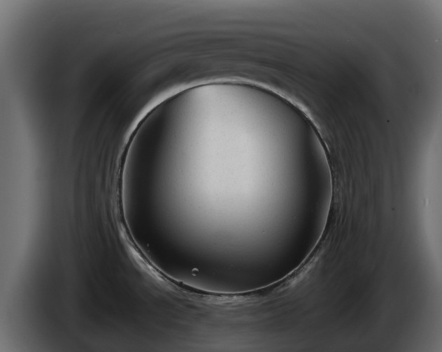 X0000085761534200703231143