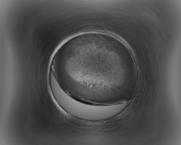 X0000085761536200703231143