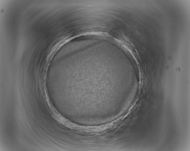 X0000085760001200703301440
