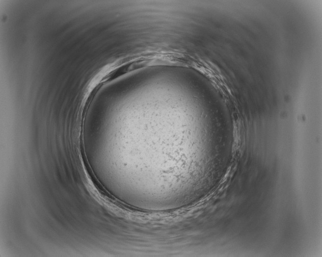 X0000085760003200703301440