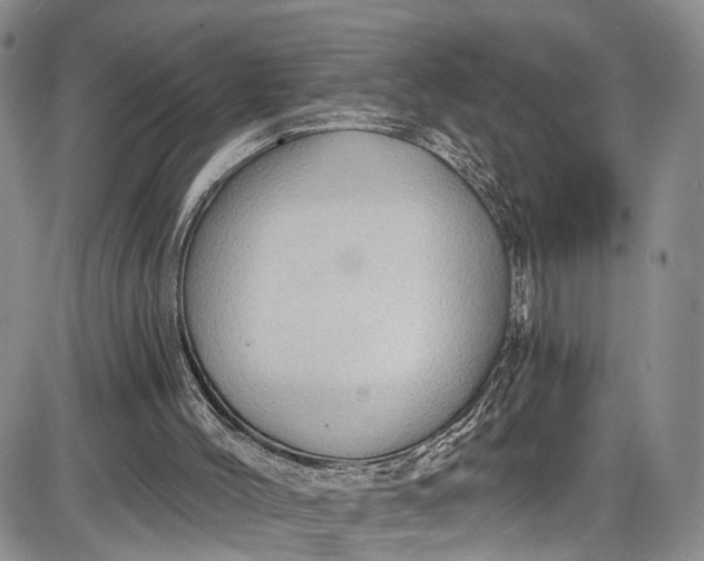 X0000085760004200703301440