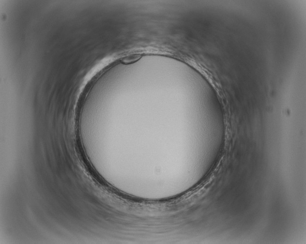 X0000085760008200703301440