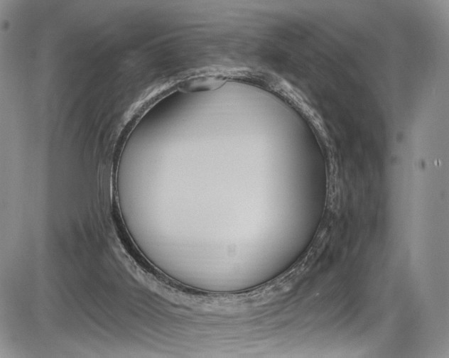 X0000085760011200703301440