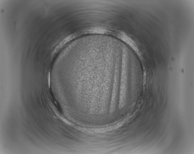 X0000085760013200703301440