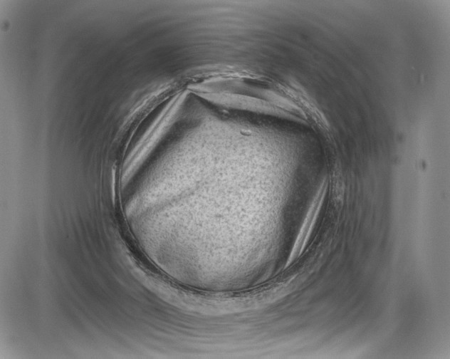 X0000085760014200703301440