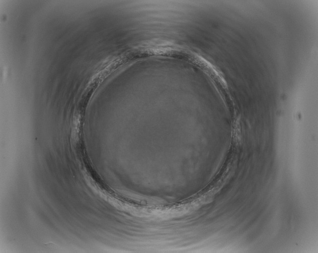 X0000085760018200703301440