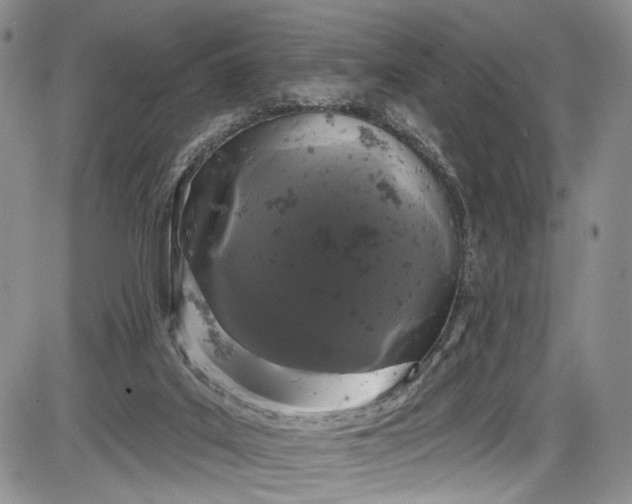 X0000085760019200703301440
