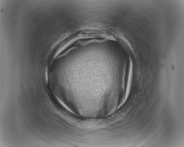 X0000085760020200703301440