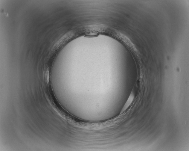 X0000085760021200703301439