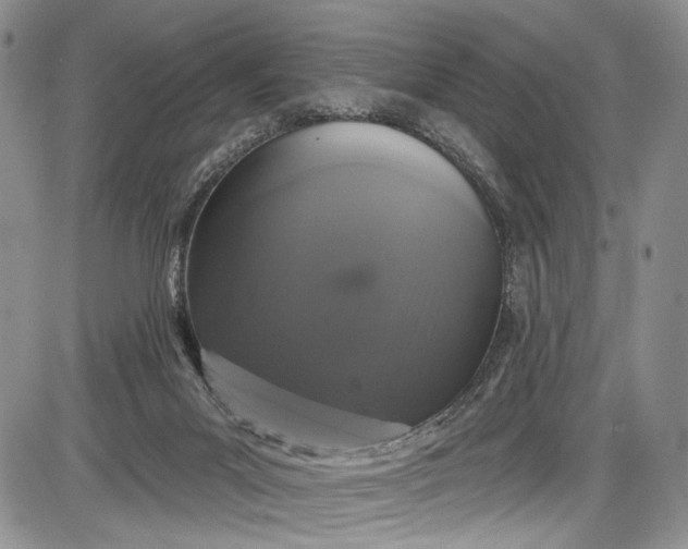 X0000085760023200703301439