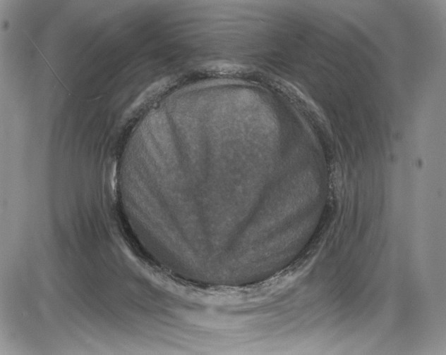X0000085760024200703301439