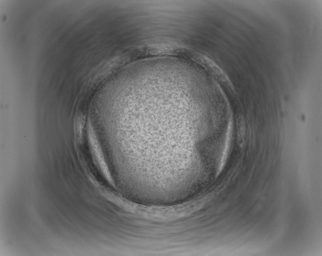 X0000085760026200703301439