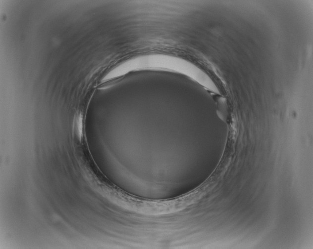 X0000085760027200703301439