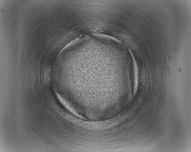 X0000085760030200703301439