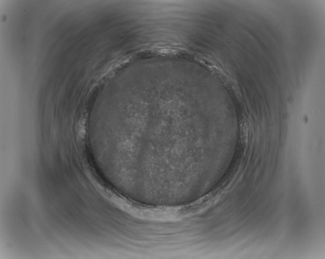 X0000085760032200703301439