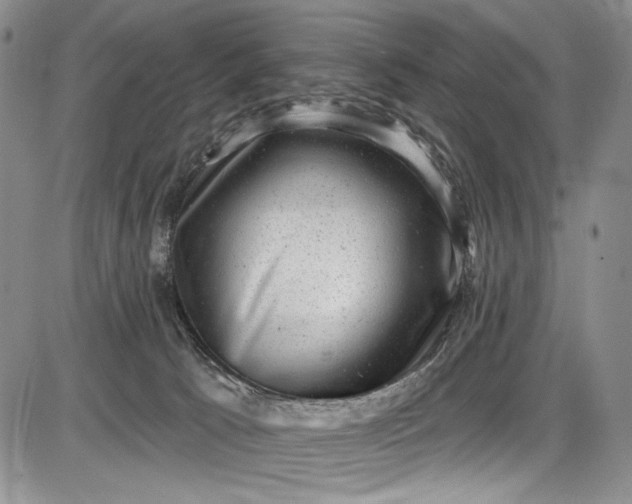 X0000085760033200703301439