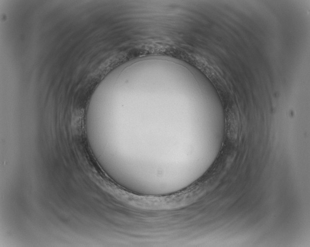 X0000085760034200703301439