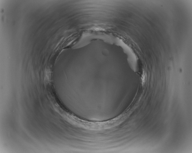 X0000085760035200703301439