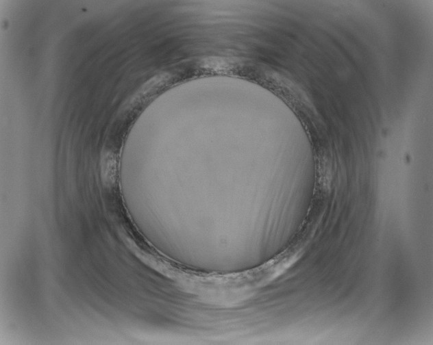 X0000085760036200703301439