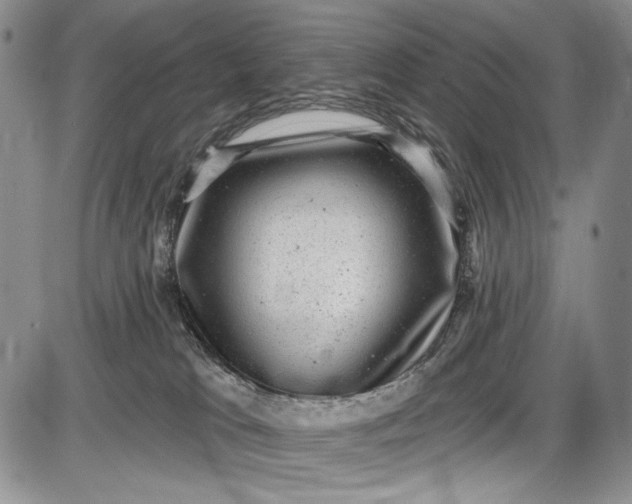 X0000085760037200703301439