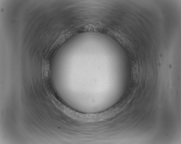 X0000085760038200703301439