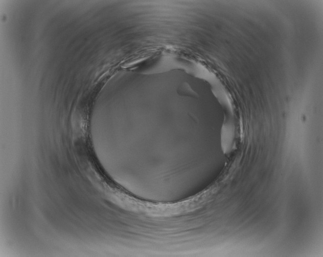 X0000085760039200703301439