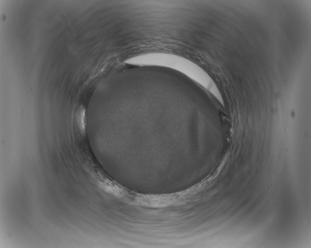X0000085760041200703301439