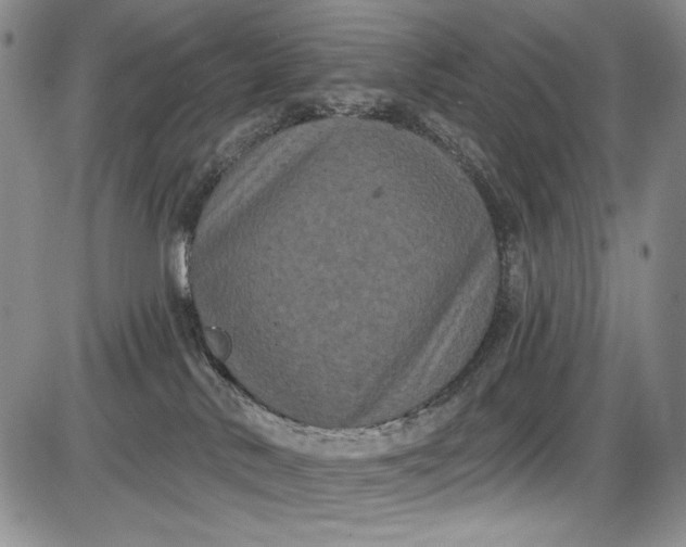 X0000085760042200703301439