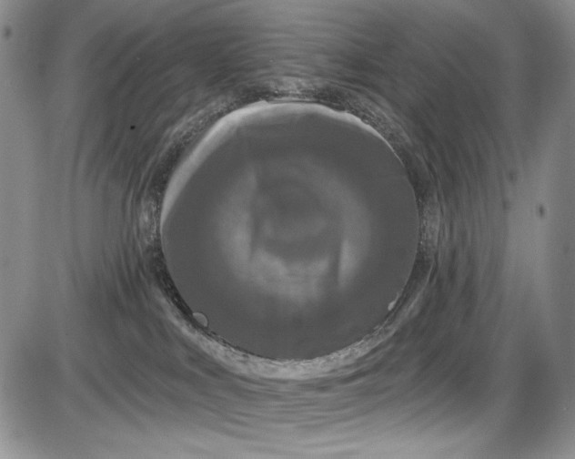 X0000085760043200703301439