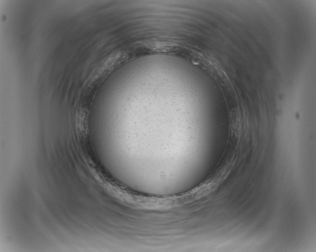 X0000085760044200703301439