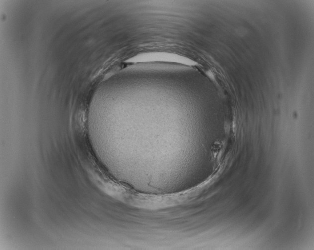 X0000085760045200703301439