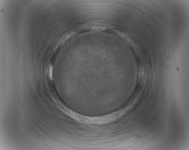 X0000085760046200703301439