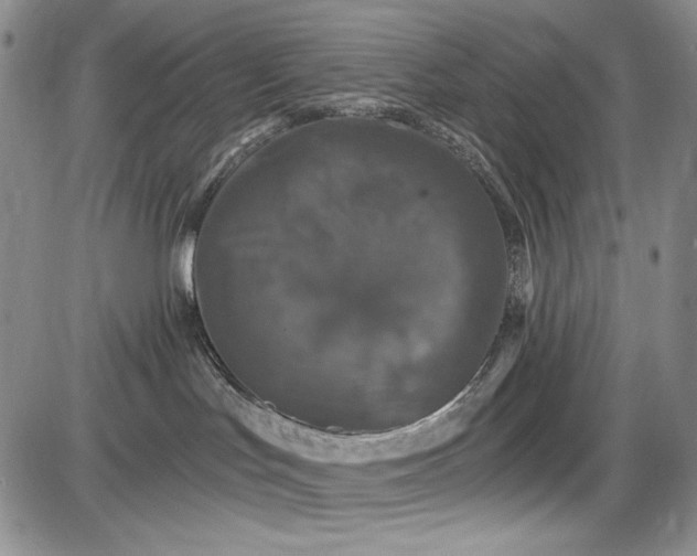 X0000085760047200703301439
