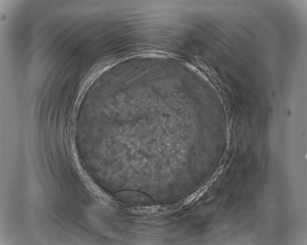 X0000085760049200703301438