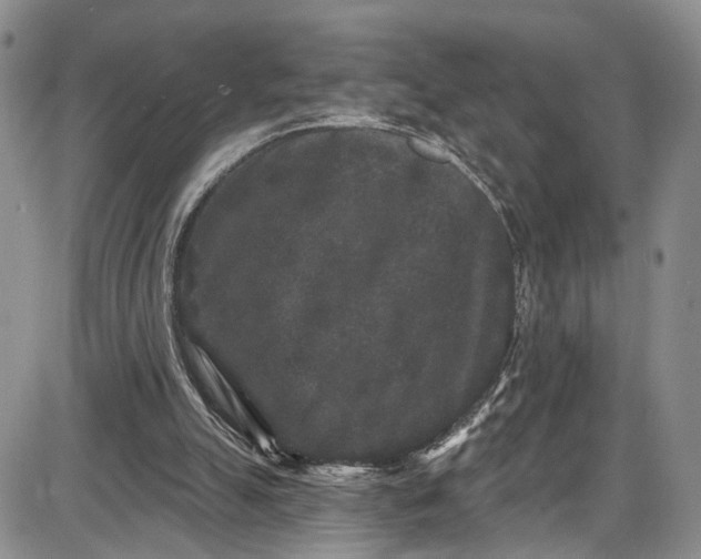X0000085760055200703301438