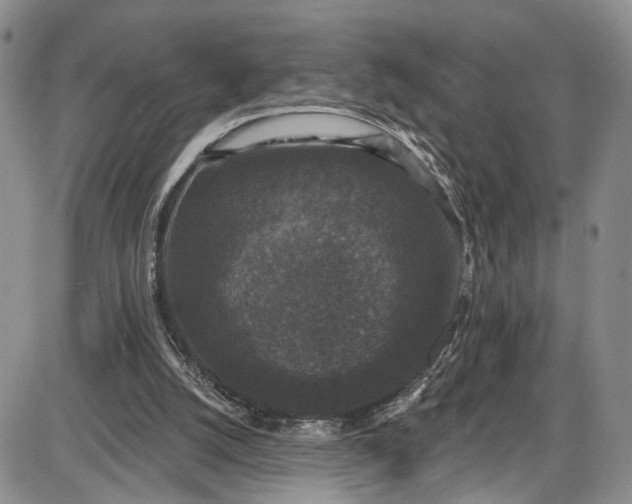 X0000085760056200703301438