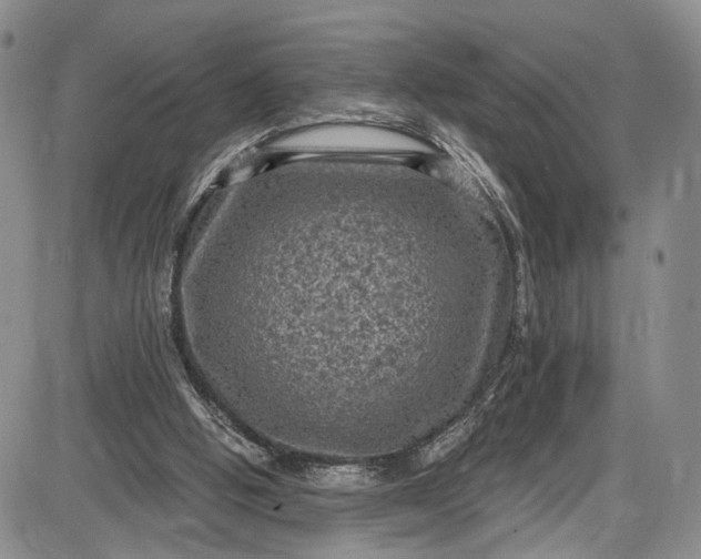 X0000085760058200703301438