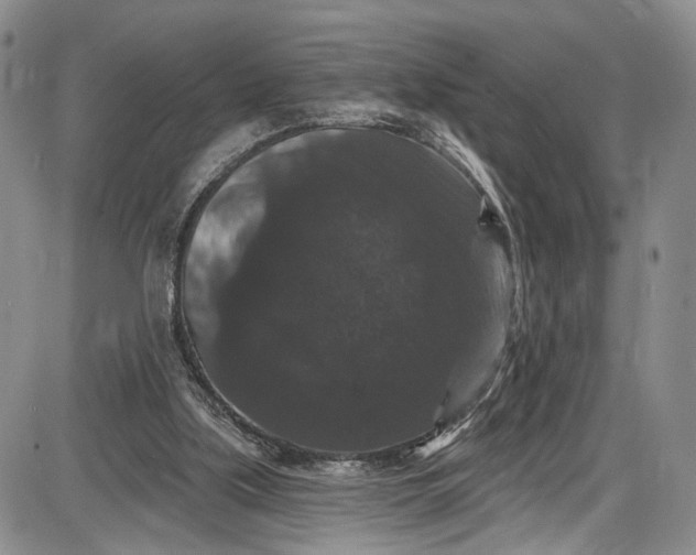 X0000085760059200703301438
