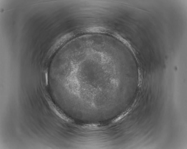 X0000085760061200703301438