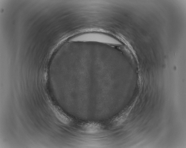 X0000085760063200703301438