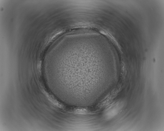 X0000085760066200703301439