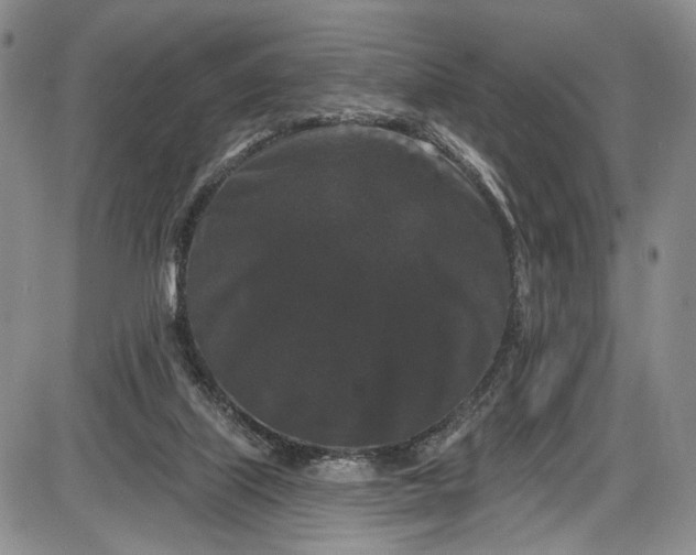 X0000085760067200703301439