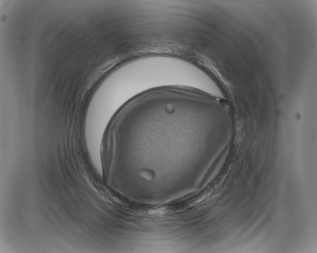 X0000085760068200703301439