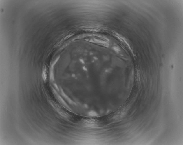 X0000085760069200703301439