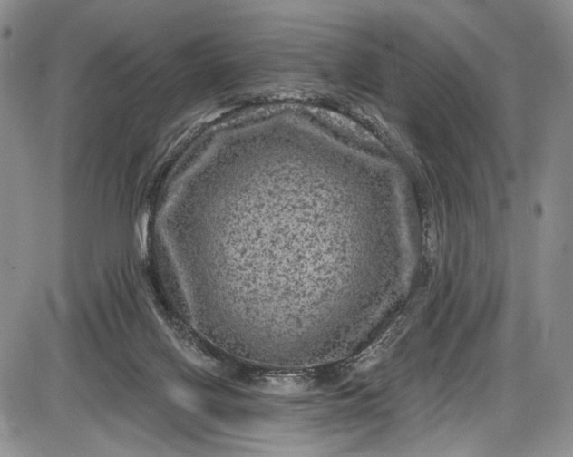 X0000085760070200703301439
